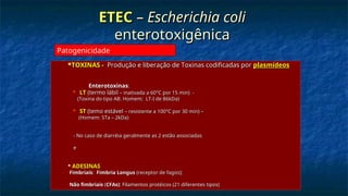 ETEC
ETEC –
– Escherichia coli
Escherichia coli
enterotoxigênica
enterotoxigênica
 TOXINAS -
TOXINAS - Produção e liberação de Toxinas codificadas por
Produção e liberação de Toxinas codificadas por plasmídeos
plasmídeos
Enterotoxinas
Enterotoxinas:
:
 LT
LT (termo lábil
(termo lábil – inativada a 60°C por 15 min) -
– inativada a 60°C por 15 min) -
(Toxina do tipo AB. Homem; LT-I de 86kDa)
(Toxina do tipo AB. Homem; LT-I de 86kDa)
 ST
ST (temo estável
(temo estável – resistente a 100°C por 30 min) –
– resistente a 100°C por 30 min) –
(Homem: STa – 2kDa)
(Homem: STa – 2kDa)
- No caso de diarréia geralmente as 2 estão associadas
- No caso de diarréia geralmente as 2 estão associadas
e
e

ADESINAS
ADESINAS
- Fimbriais
Fimbriais:
: Fimbria Longus
Fimbria Longus (receptor de fagos);
(receptor de fagos);
- Não fimbriais
Não fimbriais (
(CFAs)
CFAs): Filamentos protéicos (21 diferentes tipos)
: Filamentos protéicos (21 diferentes tipos)
Patogenicidade
 
