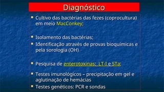 Diagnóstico
Diagnóstico
 Cultivo das bactérias das fezes (coprocultura)
Cultivo das bactérias das fezes (coprocultura)
em meio
em meio MacConkey
MacConkey;
;
 Isolamento das bactérias;
Isolamento das bactérias;
 Identificação através de provas bioquímicas e
Identificação através de provas bioquímicas e
pela sorologia (OH)
pela sorologia (OH)
 Pesquisa de
Pesquisa de enterotoxinas
enterotoxinas:
: LT-I
LT-I e
e STa
STa;
;
 Testes imunológicos – precipitação em gel e
Testes imunológicos – precipitação em gel e
aglutinação de hemácias
aglutinação de hemácias
 Testes genéticos: PCR e sondas
Testes genéticos: PCR e sondas
 