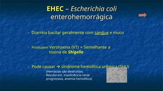EHEC
EHEC –
– Escherichia coli
Escherichia coli
enterohemorrágica
enterohemorrágica
- Diarréia bacilar geralmente com sangue e muco
- Produzem Verotoxina (VT) = Semelhante a
toxina de Shigella
- Pode causar  síndrome hemolítica urêmica (SHU)
(Hemácias são destruídas.
Resulta em insuficiência renal
progressiva, anemia hemolítica)
 