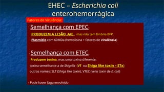 EHEC –
EHEC – Escherichia coli
Escherichia coli
enterohemorrágica
enterohemorrágica
-
Semelhança com EPEC:
PRODUZEM A LESÃO A/E , mas não tem fímbria BFP,
Plasmídio com 60MDa (hemolisina + fatores de virulência)
- Semelhança com ETEC:
Produzem toxina, mas uma toxina diferente:
toxina semelhante a de Shigella (VT ou Shiga like toxin – STx)
outros nomes: SLT (Shiga like toxin), VTEC (vero toxin de E. coli)
- Pode haver fago envolvido
Fatores de Virulência:
 