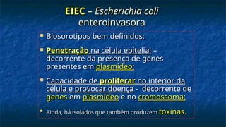 EIEC
EIEC –
– Escherichia coli
Escherichia coli
enteroinvasora
enteroinvasora
 Biosorotipos bem definidos;
Biosorotipos bem definidos;
 Penetração
Penetração na célula epitelial
na célula epitelial –
–
decorrente da presença de genes
decorrente da presença de genes
presentes em
presentes em plasmídeo
plasmídeo;
;
 Capacidade de
Capacidade de proliferar
proliferar no interior da
no interior da
célula e provocar doença
célula e provocar doença - decorrente de
- decorrente de
genes
genes em
em plasmídeo
plasmídeo e no
e no cromossoma;
cromossoma;

Ainda, há isolados que também produzem
Ainda, há isolados que também produzem toxinas.
toxinas.
 