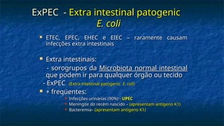 ExPEC -
ExPEC - Extra intestinal patogenic
Extra intestinal patogenic
E. coli
E. coli
 ETEC, EPEC, EHEC e EIEC – raramente causam
ETEC, EPEC, EHEC e EIEC – raramente causam
infecções extra intestinais
infecções extra intestinais
 Extra intestinais:
Extra intestinais:
- sorogrupos da
- sorogrupos da Microbiota normal intestinal
Microbiota normal intestinal
que podem ir para qualquer órgão ou tecido
que podem ir para qualquer órgão ou tecido
- ExPEC
- ExPEC (Extra intestinal patogenic
(Extra intestinal patogenic E. coli
E. coli)
)
 + freqüentes:
+ freqüentes:
 Infecções urinárias (90%) -
Infecções urinárias (90%) - UPEC
UPEC
 Meningite do recém nascido –
Meningite do recém nascido – (apresentam antígeno K1)
(apresentam antígeno K1)
 Bacteremia–
Bacteremia– (apresentam antígeno K1)
(apresentam antígeno K1)
 
