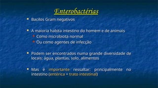  Bacilos Gram negativos
Bacilos Gram negativos
 A maioria habita intestino do homem e de animais
A maioria habita intestino do homem e de animais
 Como microbiota normal
Como microbiota normal
 Ou como agentes de infecção
Ou como agentes de infecção
 Podem ser encontrados numa grande diversidade de
Podem ser encontrados numa grande diversidade de
locais: água, plantas, solo, alimentos
locais: água, plantas, solo, alimentos
 Mas é
Mas é importante
importante ressaltar: principalmente no
ressaltar: principalmente no
intestino (
intestino (entérica
entérica =
= trato intestinal
trato intestinal)
)
Enterobactérias
Enterobactérias
 