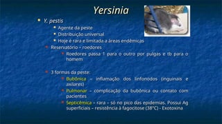 Yersinia
Yersinia
 Y. pestis
Y. pestis
 Agente da peste
Agente da peste
 Distribuição universal
Distribuição universal
 Hoje é rara e limitada a áreas endêmicas
Hoje é rara e limitada a áreas endêmicas
 Reservatório – roedores
Reservatório – roedores
 Roedores passa 1 para o outro por pulgas e tb para o
Roedores passa 1 para o outro por pulgas e tb para o
homem
homem
 3 formas da peste:
3 formas da peste:
 Bubônica
Bubônica – inflamação dos linfonodos (inguinais e
– inflamação dos linfonodos (inguinais e
axilares)
axilares)
 Pulmonar
Pulmonar – complicação da bubônica ou contato com
– complicação da bubônica ou contato com
pacientes
pacientes
 Septicêmica
Septicêmica – rara – só no pico das epidemias. Possui Ag
– rara – só no pico das epidemias. Possui Ag
superficiais – resistência à fagocitose (38°C) - Exotoxina
superficiais – resistência à fagocitose (38°C) - Exotoxina
 