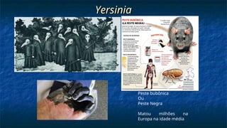 Yersinia
Yersinia
Peste bubônica
Ou
Peste Negra
Matou milhões na
Europa na idade média
 