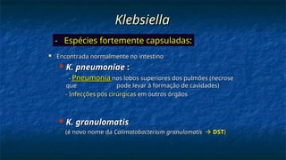 Klebsiella
Klebsiella
 Encontrada normalmente no intestino
Encontrada normalmente no intestino
 K. pneumoniae
K. pneumoniae :
:
-
- Pneumonia
Pneumonia nos lobos superiores dos pulmões (necrose
nos lobos superiores dos pulmões (necrose
que
que pode levar à formação de cavidades)
pode levar à formação de cavidades)
-
- Infecções pós cirúrgicas
Infecções pós cirúrgicas em outros órgãos
em outros órgãos
 K. granulomatis
K. granulomatis
(é novo nome da
(é novo nome da Calimatobacterium granulomatis
Calimatobacterium granulomatis 
 DST
DST)
)
- Espécies fortemente capsuladas:
- Espécies fortemente capsuladas:
 