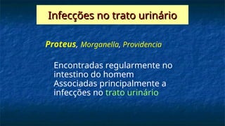 Proteus, Morganella, Providencia
Encontradas regularmente no
intestino do homem
Associadas principalmente a
infecções no trato urinário
Infecções no trato urinário
Infecções no trato urinário
 