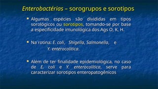Enterobactérias –
Enterobactérias – sorogrupos e sorotipos
sorogrupos e sorotipos
 Algumas espécies são divididas em tipos
Algumas espécies são divididas em tipos
sorológicos ou
sorológicos ou sorotipos
sorotipos, tomando-se por base
, tomando-se por base
a especificidade imunológica dos Ags O, K, H.
a especificidade imunológica dos Ags O, K, H.
 Na rotina:
Na rotina: E. coli
E. coli,
, Shigella
Shigella,
, Salmonella
Salmonella, e
, e
Y. enterocolitica
Y. enterocolitica.
.
 Além de ter finalidade epidemiológica, no caso
Além de ter finalidade epidemiológica, no caso
de
de E. coli
E. coli e
e Y. enterocolítica
Y. enterocolítica, serve para
, serve para
caracterizar sorotipos enteropatogênicos
caracterizar sorotipos enteropatogênicos
 
