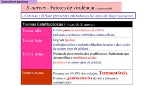S. aureus - Fatores de virulência (continuação)
Toxinas Estafilocócicas típicas de S. aureus
Toxina alfa Forma poros na membrana das células
(músculos cardíacos, eritrócitos, outras células)
Toxina beta Degrada lipídios
(esfinglomielina e esofosfatidilcolina levando a destruição
de muitos tipos de células)
Toxina delta Produzida pela maioria dos estafilococos. Surfactante que
desestabiliza a membrana celular.
(eritrócitos e outros tipos de células)
Enterotoxinas Presente em 30-50% dos isolados, Termoestáveis.
Produzem gastroenterites devido a alimentos
contaminados.
- Catalase e DNase (presentes em todos os isolados de Staphylococcus
 
