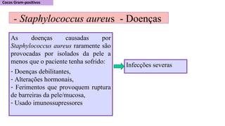 - Staphylococcus aureus - Doenças
As doenças causadas por
Staphylococcus aureus raramente são
provocadas por isolados da pele a
menos que o paciente tenha sofrido:
- Doenças debilitantes,
- Alterações hormonais,
- Ferimentos que provoquem ruptura
de barreiras da pele/mucosa,
- Usado imunossupressores
Infecções severas
 