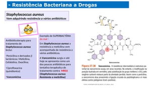 FONTE: MICROBIOLOGIA DE BROCK, 14ª,edição, 2016.
Em Staphylococcus aureus a
resistência a meticilina vem
acompanhada de resistência a
vários antibióticos.
A Vancomicina surgiu e até
hoje se apresenta como um
dos poucos antibióticos para
tentativa terapêutica de
tratamento contra MRSA
(Staphylococcus aureus
Resistente a meticilina)
Exemplo de SUPERBACTÉRIA
do mal !
- Resistência Bacteriana a Drogas
Antibióticoterapia para
tratamento de
Staphylococcus aureus
inclui:
-Penicilina e derivados 
lactâmicos: Meticilina,
Cefalotina, Oxacilina;
-Ciprofloxacina
(quinôlonico)
-Vancomicina
Staphylococcus aureus
Vem adquirindo resistência a vários antibióticos
 