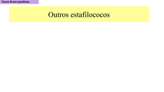 Outros estafilococos
 