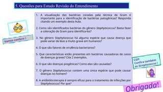 1. A visualização das bactérias coradas pela técnica de Gram é
importante para a identificação de bactérias patogênicas? Responda
citando um exemplo desta Aula.
2. Como são identificados bactérias do gênero Staphylococcus? Basta fazer
a coloração de Gram para identifica-los?
3. No gênero Staphylococcus há alguma espécie que causa doença que
pode variar de leve a muito grave em humanos?
4. O que são fatores de virulência bacterianos?
5. Que características estão presentes em bactérias causadoras de casos
de doenças graves? Cite 2 exemplos.
6. O que são doenças piogênicas? Como elas são causadas?
7. O gênero Staphylococcus contem uma única espécie que pode causar
doenças no homem?
8. A antibióticoterapia é sempre eficaz para o tratamento de infecções por
Staphylococcus? Por que?
5. Questões para Estudo Revisão do Entendimento
Vamos conferir !
CGP:
Confira também
os Streptococcus !
brigada!
 
