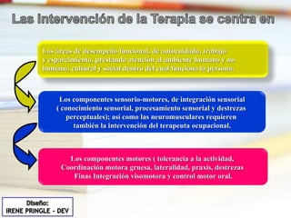 Las áreas de desempeño funcional, de autocuidado, trabajo  y esparcimiento, prestando atención al ambiente humano y no  humano, cultural y social dentro del cual funciona la persona. Los componentes sensorio-motores, de integración sensorial ( conocimiento sensorial, procesamiento sensorial y destrezas  perceptuales); así como las neuromusculares requieren  también la intervención del terapeuta ocupacional. Los componentes motores ( tolerancia a la actividad,  Coordinación motora gruesa, lateralidad, praxis, destrezas  Finas Integración visomotora y control motor oral. 