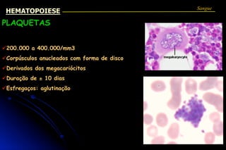 PLAQUETAS
ü200.000 a 400.000/mm3
üCorpúsculos anucleados com forma de disco
üDerivados dos megacariócitos
üDuração de ± 10 dias
üEsfregaços: aglutinação
Sangue
HEMATOPOIESE
 