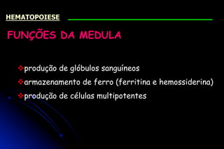 FUNÇÕES DA MEDULA
vprodução de glóbulos sanguíneos
varmazenamento de ferro (ferritina e hemossiderina)
vprodução de células multipotentes
HEMATOPOIESE
 