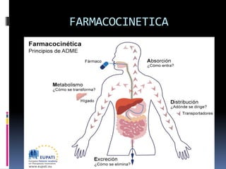 FARMACOCINETICA
 