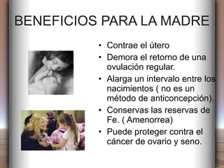 BENEFICIOS PARA LA MADRE Contrae el útero Demora el retorno de una ovulación regular. Alarga un intervalo entre los nacimientos ( no es un método de anticoncepción). Conservas las reservas de Fe. ( Amenorrea) Puede proteger contra el cáncer de ovario y seno. 