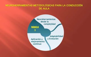NEUROHERRAMIENTAS METODOLÓGICAS PARA LA CONDUCCIÓN 
DE AULA 
 