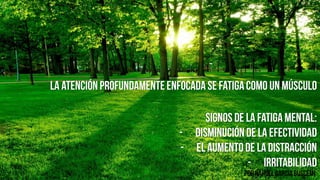 Herramientas de Productividad Modulo 3