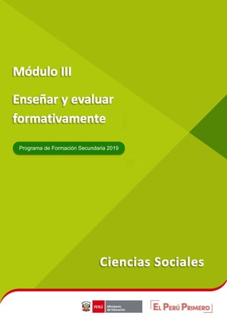 MÓDULO II COMPETENCIAS Y ESTÁNDARES DE APRENDIZAJE | Programa de Formación Docente Secundaria 2019
Ministerio de Educación | Dirección de Formación Docente en Servicio
- 1 -
Programa de Formación Secundaria 2019
 