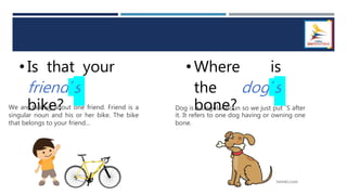 • Is that your
friend´s
bike?
We are talking about one friend. Friend is a
singular noun and his or her bike. The bike
that belongs to your friend…
• Where is
the dog´s
bone?
Dog is a singular noun so we just put ´S after
it. It refers to one dog having or owning one
bone.
 