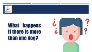 What happens
if there is more
than one dog?
 