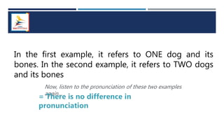 In the first example, it refers to ONE dog and its
bones. In the second example, it refers to TWO dogs
and its bones
Now, listen to the pronunciation of these two examples
again…
 