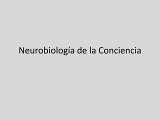 Neurobiología de la Conciencia
 