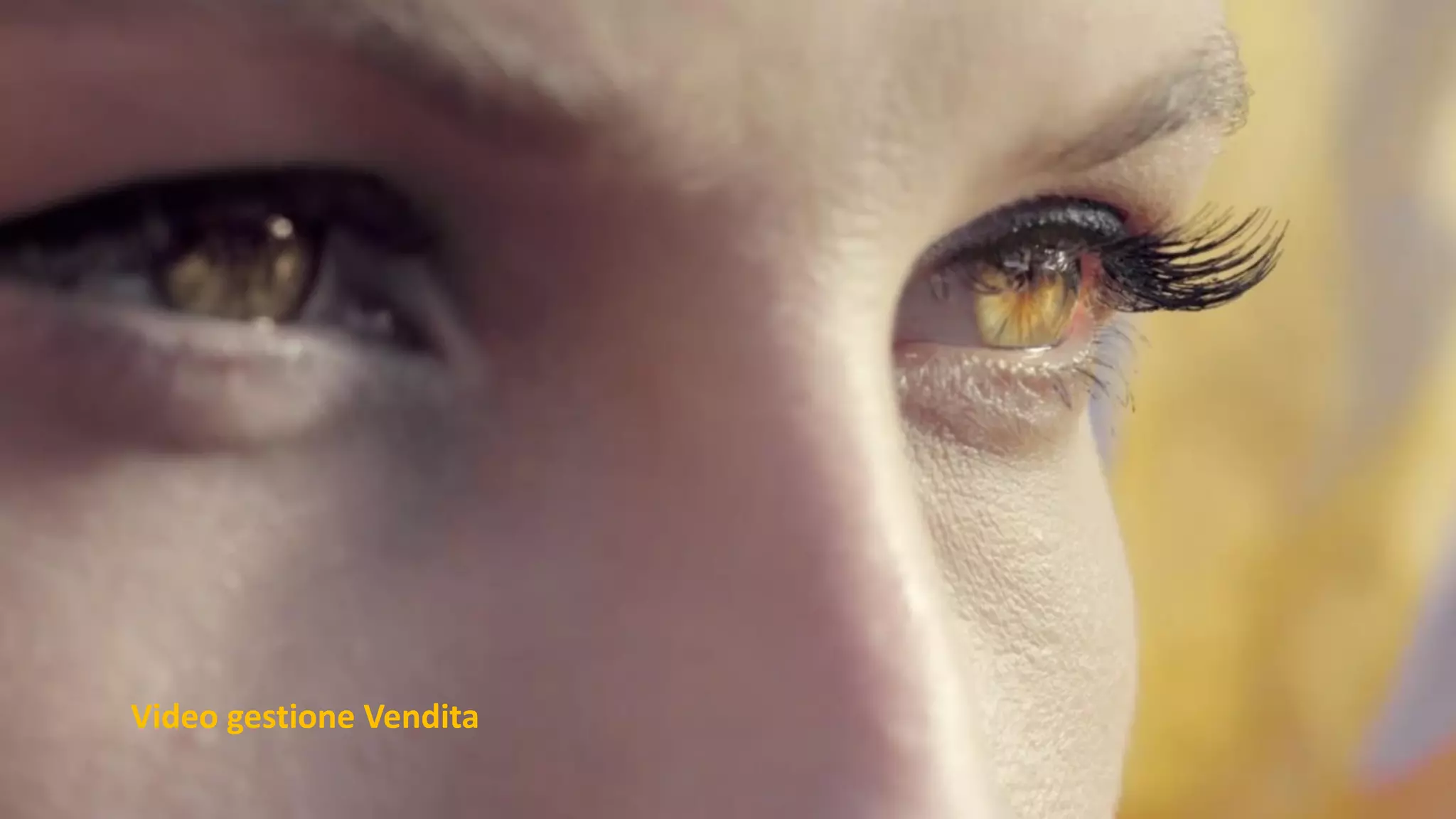 Video gestione Vendita
 