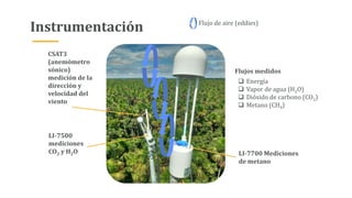Instrumentación
LI-7700 Mediciones
de metano
CSAT3
(anemómetro
sónico)
medición de la
dirección y
velocidad del
viento
LI-7500
mediciones
CO2 y H2O
Flujo de aire (eddies)
Flujos medidos
 Energía
 Vapor de agua (H2O)
 Dióxido de carbono (CO2)
 Metano (CH4)
 