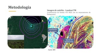 Metodología
Imagen de satelite - Landsat TM
(combinación de bandas 453 RGB, con un mejoramiento de
histograma)
Aguajal de
Quistococha
Localización
de la torre
Fuente: INPE
 