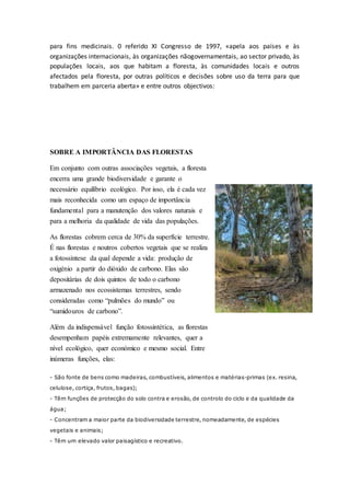 para fins medicinais. 0 referido XI Congresso de 1997, «apela aos países e às
organizações internacionais, às organizações nãogovernamentais, ao sector privado, às
populações locais, aos que habitam a floresta, às comunidades locais e outros
afectados pela floresta, por outras políticos e decisões sobre uso da terra para que
trabalhem em parceria aberta» e entre outros objectivos:
SOBRE A IMPORTÂNCIA DAS FLORESTAS
Em conjunto com outras associações vegetais, a floresta
encerra uma grande biodiversidade e garante o
necessário equilíbrio ecológico. Por isso, ela é cada vez
mais reconhecida como um espaço de importância
fundamental para a manutenção dos valores naturais e
para a melhoria da qualidade de vida das populações.
As florestas cobrem cerca de 30% da superfície terrestre.
É nas florestas e noutros cobertos vegetais que se realiza
a fotossíntese da qual depende a vida: produção de
oxigénio a partir do dióxido de carbono. Elas são
depositárias de dois quintos de todo o carbono
armazenado nos ecossistemas terrestres, sendo
consideradas como “pulmões do mundo” ou
“sumidouros de carbono”.
Além da indispensável função fotossintética, as florestas
desempenham papéis extremamente relevantes, quer a
nível ecológico, quer económico e mesmo social. Entre
inúmeras funções, elas:
- São fonte de bens como madeiras, combustíveis, alimentos e matérias-primas (ex. resina,
celulose, cortiça, frutos, bagas);
- Têm funções de protecção do solo contra e erosão, de controlo do ciclo e da qualidade da
água;
- Concentram a maior parte da biodiversidade terrestre, nomeadamente, de espécies
vegetais e animais;
- Têm um elevado valor paisagístico e recreativo.
 