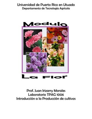 Universidad de Puerto Rico en Utuado
Departamento de Tecnología Agrícola
Prof. Juan Irizarry Morales
Laboratorio TPAG 1006
Introducción a la Producción de cultivos
 