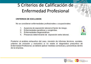 5 Criterios de Calificación de
Enfermedad Profesional
 
