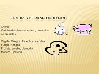 FACTORES DE RIESGO BIOLÓGICO

Animal:
Vertebrados, invertebrados y derivados
de animales.

Vegetal Musgos, Helechos, semillas:
Fungal: hongos
Protista: ameba, plamodium
Mònera: Bacteria
 