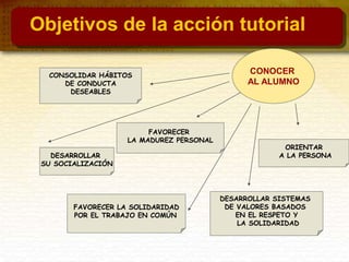 FAVORECER
LA MADUREZ PERSONAL
ORIENTAR
A LA PERSONA
CONSOLIDAR HÁBITOS
DE CONDUCTA
DESEABLES
DESARROLLAR
SU SOCIALIZACIÓN
FAVORECER LA SOLIDARIDAD
POR EL TRABAJO EN COMÚN
DESARROLLAR SISTEMAS
DE VALORES BASADOS
EN EL RESPETO Y
LA SOLIDARIDAD
CONOCER
AL ALUMNO
Objetivos de la acción tutorial
 