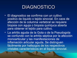 DIAGNOSTICO El diagnostico se confirma con un cultivo positivo de liquido o tejido sinovial. En caos de afección de la columna vertebral se requiere biopsia con aguja o biopsia quirirjuca abierta para obtener el tejido para cultivo.  La artritis aguda de la Gota o de la Pseudogota se confunde con la artritis séptica por la afección monoarticular y las manifestaciones de inflamación articular aguda. Se distinguen fácilmente por hallazgos de los respectivos cristales característicos en el liquido sinovial.  