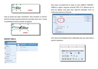 Faça os ajuste que julgar necessários. Para aumentar ou diminuir
tamanho da figura proporcionalmente você deve clicar com o mouse
no quadradinho verde e arrastar na diagonal.
INSERIR TABELA
Para inserir uma tabela dê um clique no menu TABELA / INSERIR /
TABELA ou digite o seguinte comando CRTL+F12. Observe que na
caixa de diálogo você pode fazer algumas alterações como no
número de colunas ou linhas etc.
Uma caixa de formatação ficará a disposição para que você utilize-a
quando necessário.
 