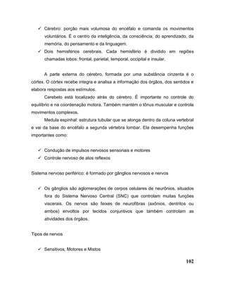 102
 Cérebro: porção mais volumosa do encéfalo e comanda os movimentos
voluntários. É o centro da inteligência, da consciência, do aprendizado, da
memória, do pensamento e da linguagem.
 Dois hemisférios cerebrais. Cada hemisfério é dividido em regiões
chamadas lobos: frontal, parietal, temporal, occipital e insular.
A parte externa do cérebro, formada por uma substância cinzenta é o
córtex. O córtex recebe integra e analisa a informação dos órgãos, dos sentidos e
elabora respostas aos estímulos.
Cerebelo está localizado atrás do cérebro. É importante no controle do
equilíbrio e na coordenação motora. Também mantém o tônus muscular e controla
movimentos complexos.
Medula espinhal: estrutura tubular que se alonga dentro da coluna vertebral
e vai da base do encéfalo a segunda vértebra lombar. Ela desempenha funções
importantes como:
 Condução de impulsos nervosos sensoriais e motores
 Controle nervoso de atos reflexos
Sistema nervoso periférico: é formado por gânglios nervosos e nervos
 Os gânglios são aglomerações de corpos celulares de neurônios, situados
fora do Sistema Nervoso Central (SNC) que controlam muitas funções
viscerais. Os nervos são feixes de neurofibras (axônios, dentritos ou
ambos) envoltos por tecidos conjuntivos que também controlam as
atividades dos órgãos.
Tipos de nervos
 Sensitivos, Motores e Mistos
 