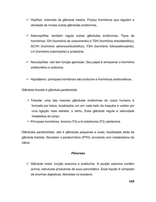105
 Hipófise: chamada de glândula mestra. Produz hormônios que regulam a
atividade de muitas outras glândulas endócrinas.
 Adenoipófise: também regula outras glândulas endócrinas. Tipos de
hormônios: GH (hormônio de crescimento) e TSH (hormônio tireoidetrófico),
ACTH (hormônio adrenocorticotrófico), FSH (hormônio folicoestimulante),
LH (hormônio luteinizante) e prolactina.
 Neuroipofise: não tem função glandular. Seu papel é armazenar o hormônio
antidiurético e ocitocina.
 Hipotálamo: principais hormônios são ocitocina e hormônios antidiuréticos.
Glândula tireoide e glândula paratireóide:
 Tireoide: uma das maiores glândulas endócrinas do corpo humano é
formada por lobos, localizados um em cada lado da traquéia e unidos por
uma ligação mais estreita, o istmo. Essa glândula regula a velocidade
metabólica do corpo.
 Principais hormônios: tiroxina (T4) a tri-iodotironia (T3) calcitonina.
Glândulas paratireóides: são 4 glândulas pequenas e ovais, localizadas atrás da
glândula tireóide. Secretam o paratormônio (PTH), envolvido com metabolismo do
cálcio.
Pâncreas
 Glândula mista: função exócrina e endócrina. A porção exócrina contém
acinos, estruturas produtoras de suco pancreático. Esse líquido é composto
de enzimas digestivas, liberadas no duodeno.
 