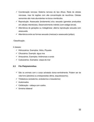 22
 Coordenação nervosa: Sistema nervoso do tipo difuso. Rede de células
nervosas, mas há regiões com alta concentração de neurônios. Células
sensoriais são mais abundantes na boca e tentáculos.
 Reprodução: Assexuada (brotamento) e/ou sexuada (gametas produzidos
em células intersticiais). Desenvolvimento indireto (com estágio larval).
 Alternância de gerações ou metagênese: alterna reprodução sexuada com
assexuada.
 Alternância entre as formas sexuada (medusa) e assexuada (pólipo).
Classificação:
4 classes:
 Hidrozoários. Exemplos: Hidra, Physalia
 Cifozoários. Exemplo: água viva
 Antozoários. Exemplos: Anêmonas e corais
 Cubozoários. Exemplos: vespa-do-mar
6.5 Filo Platyhelminthes
 São os animais com o corpo achatado dorso-ventralmente. Podem ser de
vida livre (planária) ou endoparasitas (tênia, esquistossomo).
 Triblásticos (ectoderme, endoderme e mesoderme)
 Acelomados
 Cefalização - cabeça com ocelos
 Simetria bilateral
 