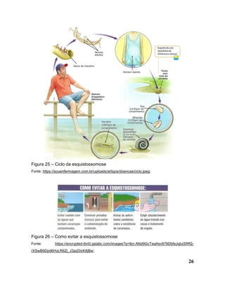 26
Figura 25 – Ciclo da esquistossomose
Fonte: https://souenfermagem.com.br/uploads/artigos/doencas/ciclo.jpeg;
Figura 26 – Como evitar a esquistossomose
Fonte: https://encrypted-tbn0.gstatic.com/images?q=tbn:ANd9GcTeaAsv979DbfeJqbzSRfQ-
rXSwB9Dpd6HyLR6Zj_J3azDixK8jBw;
 