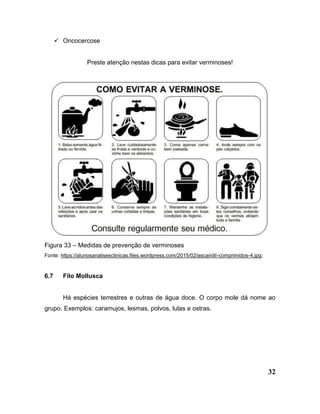 32
 Oncocercose
Preste atenção nestas dicas para evitar verminoses!
Figura 33 – Medidas de prevenção de verminoses
Fonte: https://alunosanalisesclinicas.files.wordpress.com/2015/02/ascaridil-comprimidos-4.jpg;
6.7 Filo Mollusca
Há espécies terrestres e outras de água doce. O corpo mole dá nome ao
grupo. Exemplos: caramujos, lesmas, polvos, lulas e ostras.
 