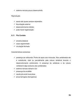 58
 sistema nervoso pouco desenvolvido.
Reprodução
 sexos são quase sempre separados.
 fecundação externa
 desenvolvimento indireto
 pode haver regeneração
6.11 Filo Cordata
 simetria bilateral
 corpo segmentado
 circulação fechada
Características exclusivas:
 presença de notocorda. Ponto de apoio aos músculos. Nos vertebrados ela
é substituída, total ou parcialmente pela coluna vertebral durante o
desenvolvimento embrionário. A presença de vertebras e de coluna
vertebral é algo exclusivo dos vertebrados
 sistema nervoso dorsal e oco
 presença de encéfalo
 cauda pós anal musculosa
 arcos faríngeos (faringianos)
 