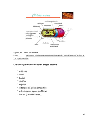 6
Figura 3 – Célula bacteriana
Fonte: http://image.slidesharecdn.com/reinomonera-120207185203-phpapp01/95/slide-4-
728.jpg?1328663282;
Classificação das bactérias em relação à forma
 esféricas
 cocos
 bacilos
 vibriões
 espirilos
 estafilococos (cocos em cachos)
 estreptococos (cocos em fileira)
 sarcina (cocos em cubos)
 
