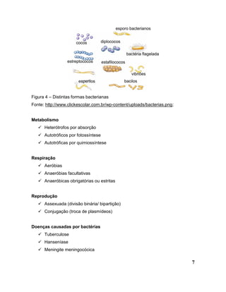 7
Figura 4 – Distintas formas bacterianas
Fonte: http://www.clickescolar.com.br/wp-content/uploads/bacterias.png;
Metabolismo
 Heterótrofos por absorção
 Autotróficos por fotossíntese
 Autotróficas por quimiossíntese
Respiração
 Aeróbias
 Anaeróbias facultativas
 Anaeróbicas obrigatórias ou estritas
Reprodução
 Assexuada (divisão binária/ bipartição)
 Conjugação (troca de plasmídeos)
Doenças causadas por bactérias
 Tuberculose
 Hanseníase
 Meningite meningocócica
 