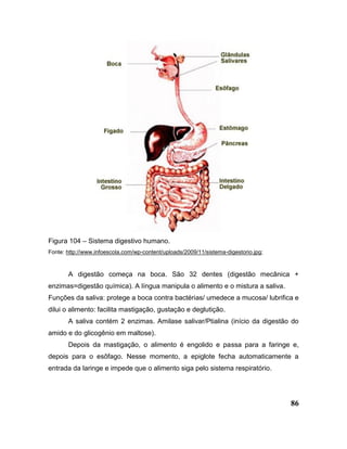 86
Figura 104 – Sistema digestivo humano.
Fonte: http://www.infoescola.com/wp-content/uploads/2009/11/sistema-digestorio.jpg;
A digestão começa na boca. São 32 dentes (digestão mecânica +
enzimas=digestão química). A língua manipula o alimento e o mistura a saliva.
Funções da saliva: protege a boca contra bactérias/ umedece a mucosa/ lubrifica e
dilui o alimento: facilita mastigação, gustação e deglutição.
A saliva contém 2 enzimas. Amilase salivar/Ptialina (início da digestão do
amido e do glicogênio em maltose).
Depois da mastigação, o alimento é engolido e passa para a faringe e,
depois para o esôfago. Nesse momento, a epiglote fecha automaticamente a
entrada da laringe e impede que o alimento siga pelo sistema respiratório.
 