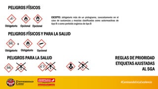 73
REGLAS DE PRIORIDAD
ETIQUETAS AJUSTADAS
AL SGA
PELIGROS FÍSICOS
Obligatorio Opcional Opcional
EXCEPTO: obligatorio más de un pictograma, concretamente en el
caso de sustancias y mezclas clasificadas como autorreactivas de
tipo B o como peróxido orgánico de tipo B
PELIGROS FÍSICOS Y PARA LA SALUD
Obligatorio Obligatorio Opcional
o
PELIGROS PARA LA SALUD
 