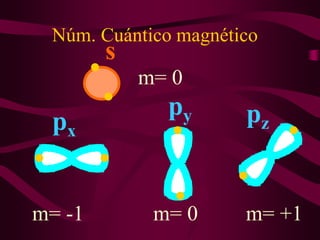 Núm. Cuántico magnético
        s
            m= 0
              py      pz
 px


m= -1        m= 0     m= +1
 